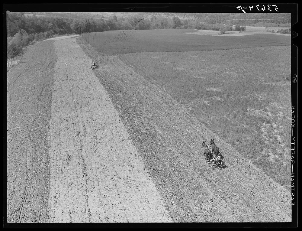 Planting corn along river in northeastern Tennessee. Sourced from the Library of Congress.