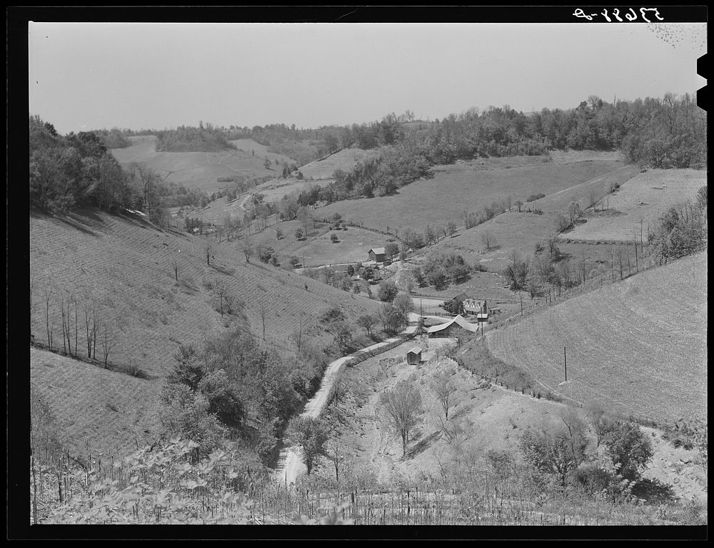 Farm land in northeastern Tennessee. Sourced from the Library of Congress.
