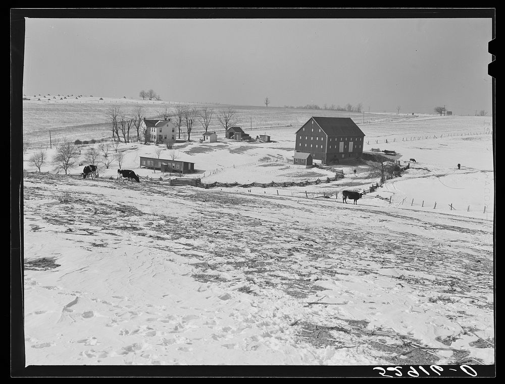 Farm near Frederick, Maryland. Sourced from the Library of Congress.