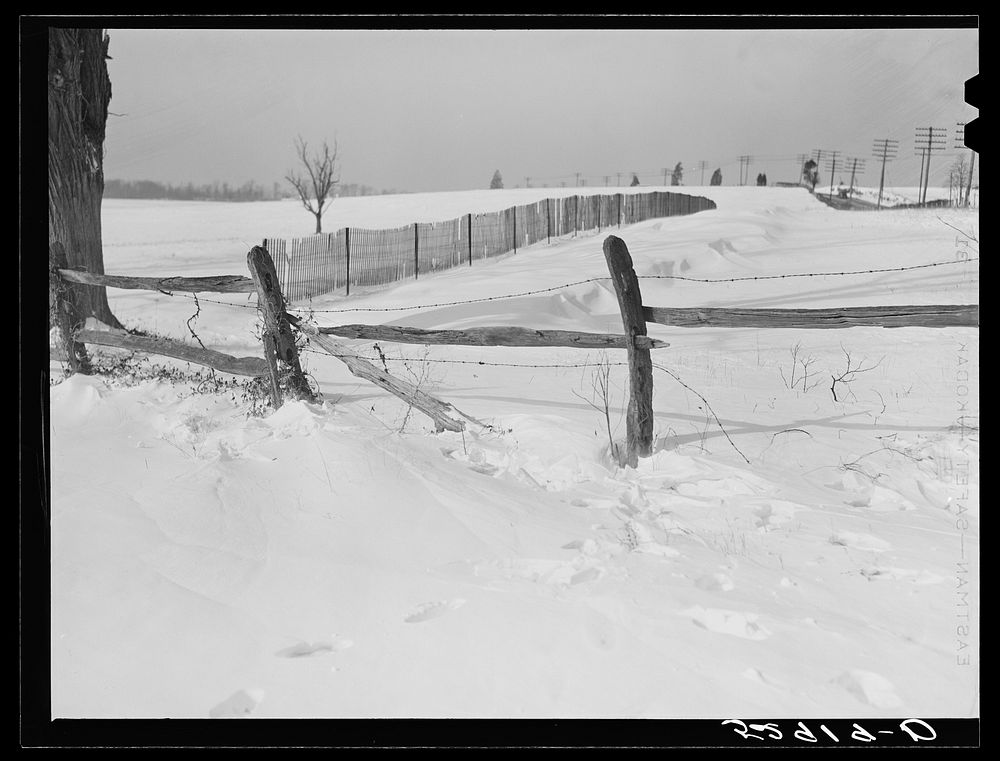 Drift fence in winter near Rockville on Route No. 240.  Montgomery County, Maryland. Sourced from the Library of Congress.