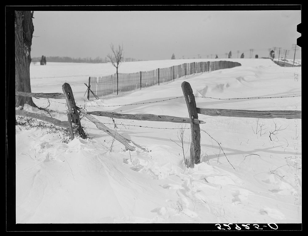 [Untitled photo, possibly related to: Drift fence in winter near Rockville on Route No. 240. Montgomery County, Maryland].…