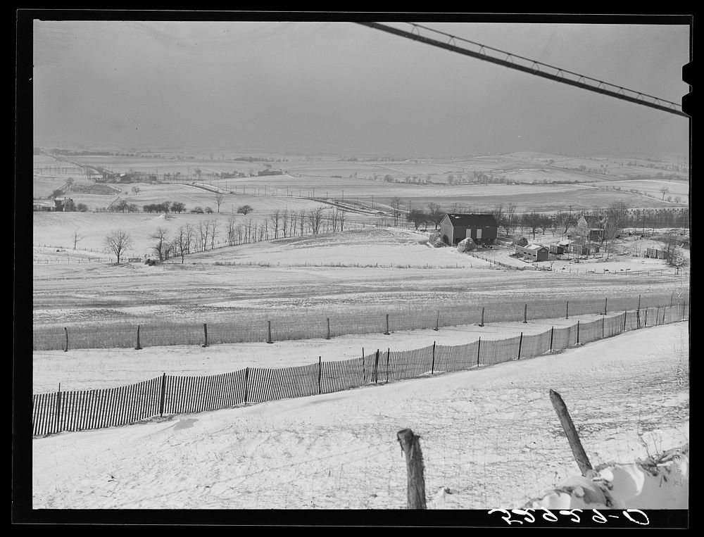 Farms and general landscape from highway between Frederick and Hagerstown, Maryland. Sourced from the Library of Congress.
