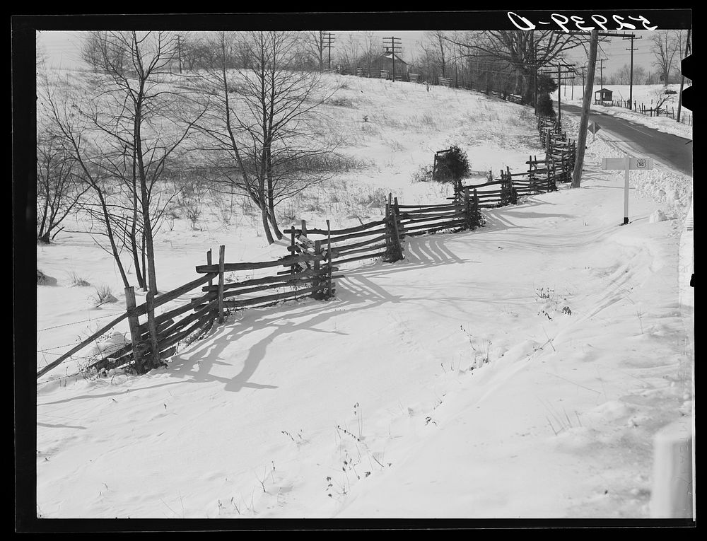 [Untitled photo, possibly related to: Highway and rail fence near Warrenton, Virginia]. Sourced from the Library of Congress.