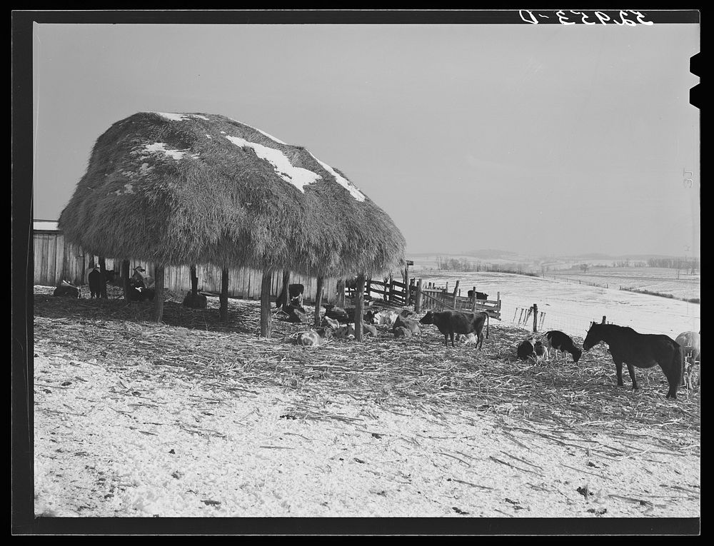 Farm near Frederick, Maryland. Sourced from the Library of Congress.
