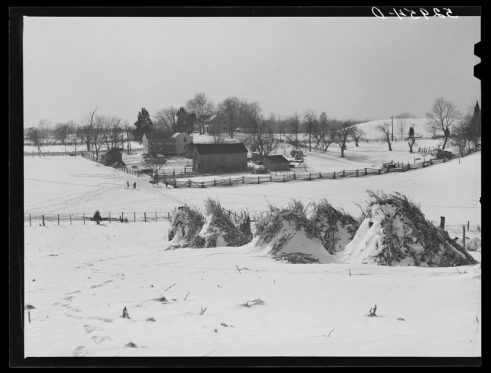 Farm near Warrenton, Virginia. Sourced from the Library of Congress.