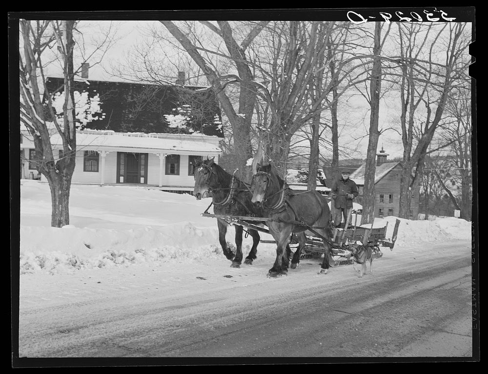 R.W. Cassidy, farmer in Putney, Vermont, hauling manure with his sled and team. He owns about two hundred acres, has lived…
