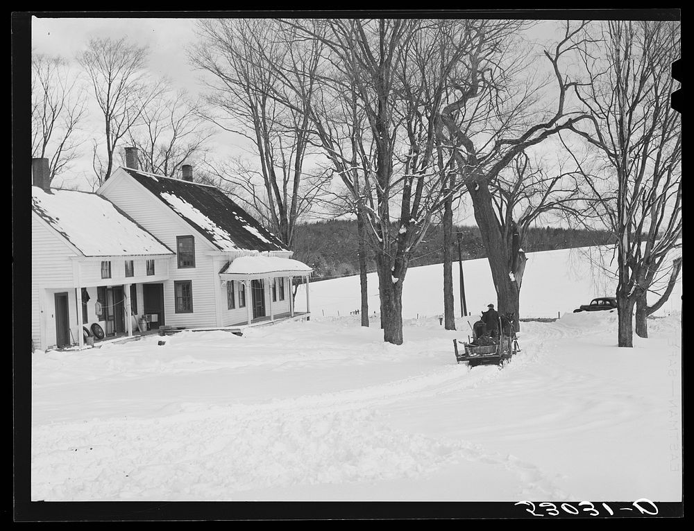 R.W. Cassidy farmer, Putney, Vermont, hauling manure with his sled and team. He owns about two hundred acres, has lived here…