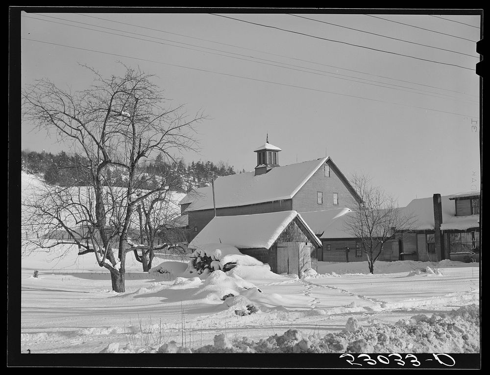 [Untitled photo, possibly related to: Barns and woodpile on road between Hanover and White River Junction, New Hampshire].…