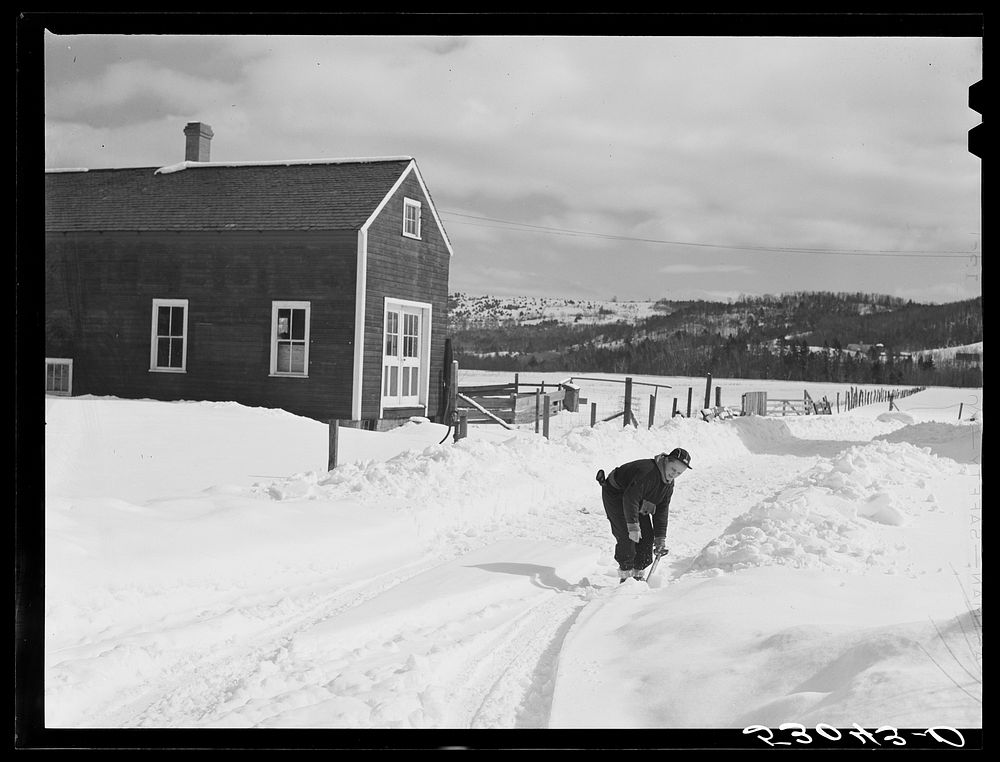 Farmer's son shoveling snow out of driveway near Putney, Vermont. Sourced from the Library of Congress.