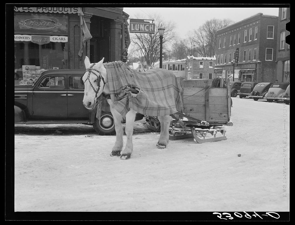 [Untitled photo, possibly related to: Garbage and rubbish is collected with horse and sled in winter. Woodstock, Vermont].…