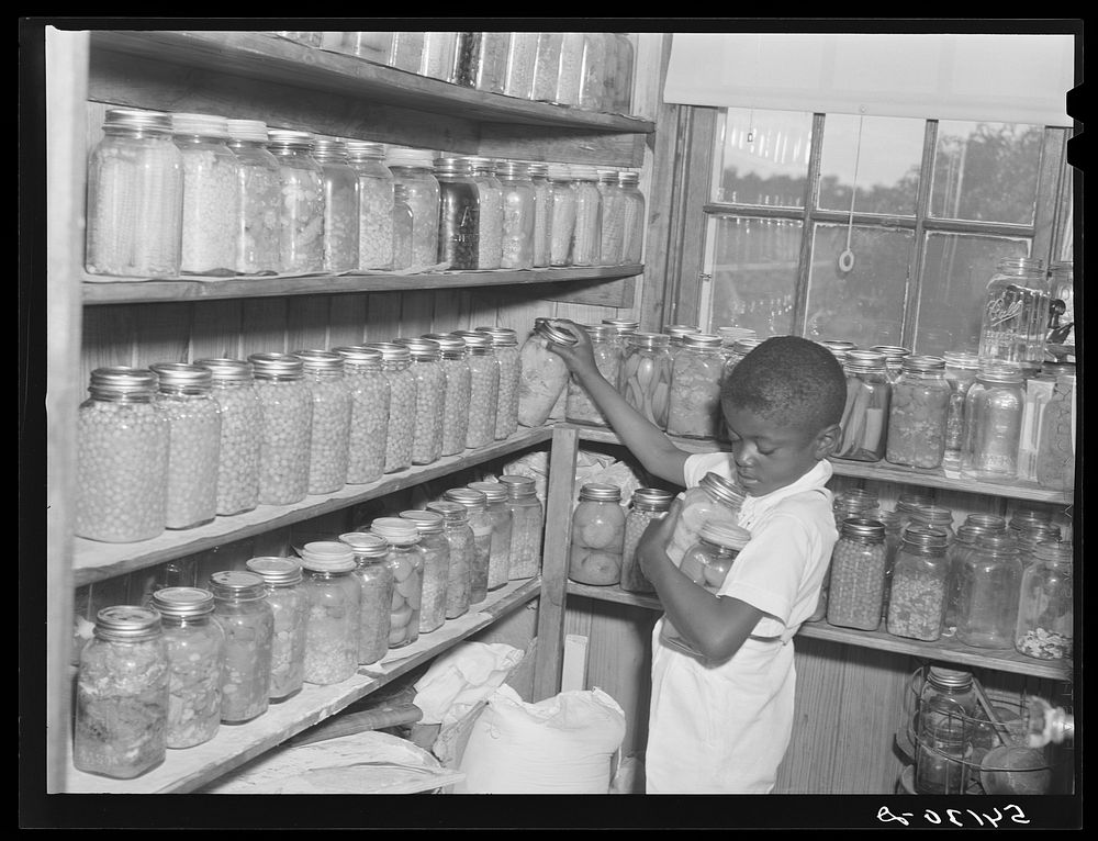 FSA (Farm Security Administration) borrower's son getting some canned goods for dinner out of the pantry in his home. La…