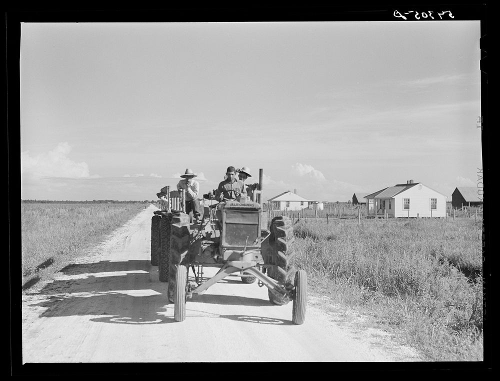 Tractor pulling wagon along project road. Terrebonne Project, Schriever, Louisiana. Sourced from the Library of Congress.