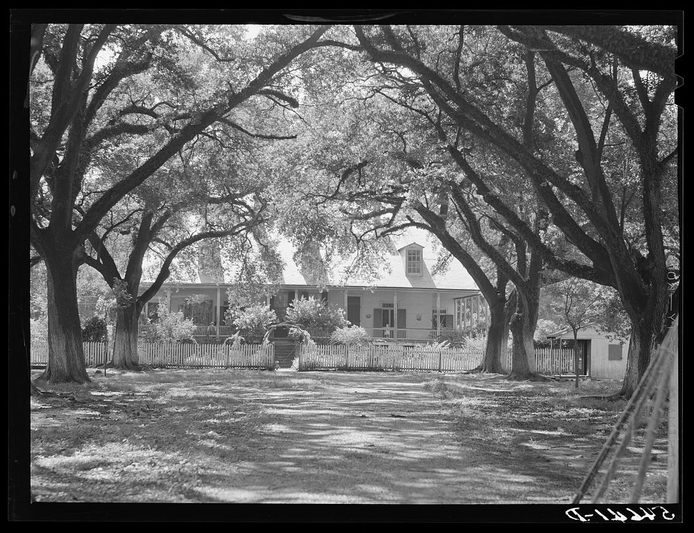 [Untitled photo, possibly related to: Melrose, Natchitoches Parish, Louisiana. Old plantation home in cotton region, La Cote…