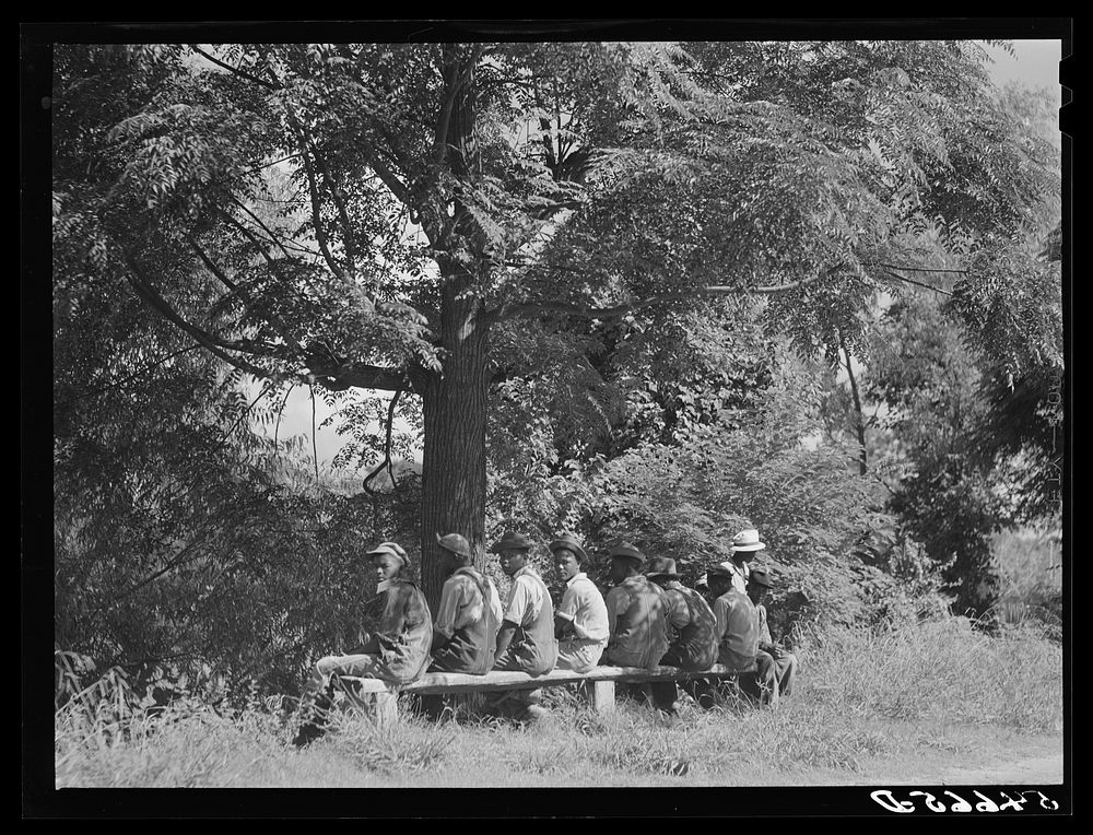 [Untitled photo, possibly related to: Melrose, Natchitoches Parish, Louisiana. Waiting for cotton fields to dry out for…
