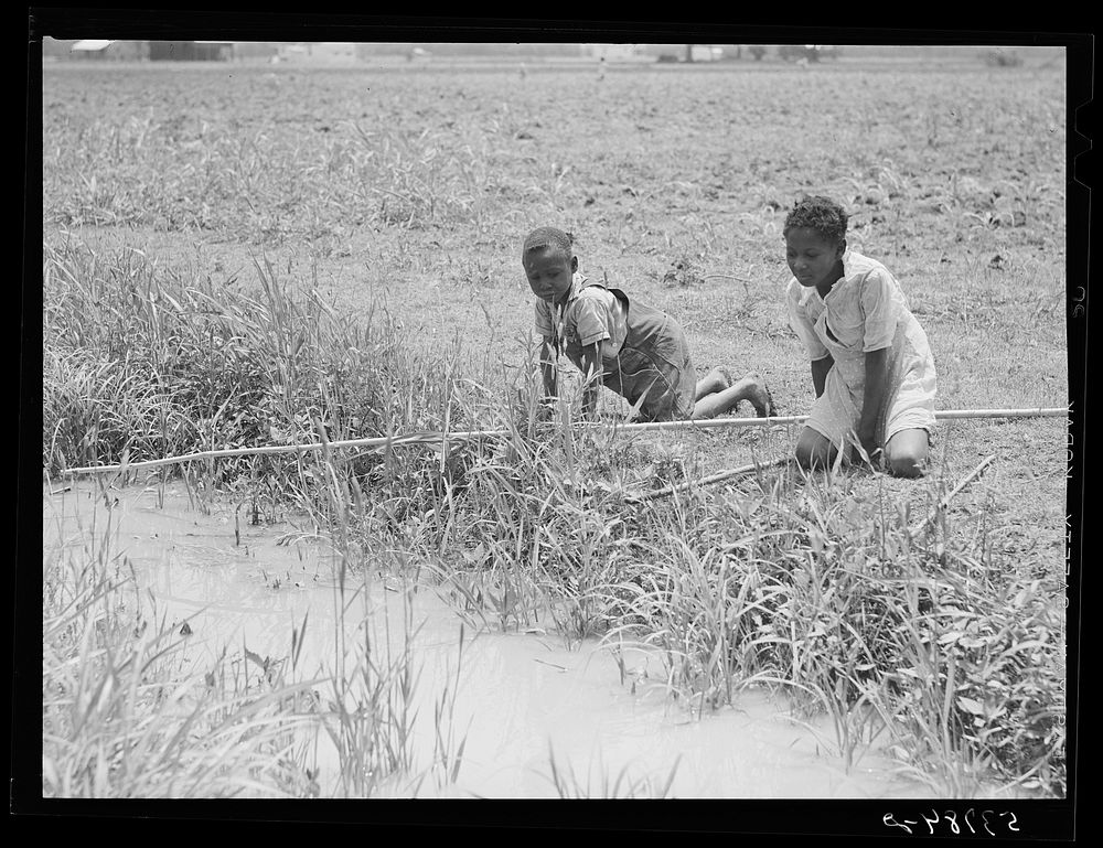 [Untitled photo, possibly related to:  girl fishing in ditch. La Delta Project, Louisiana]. Sourced from the Library of…