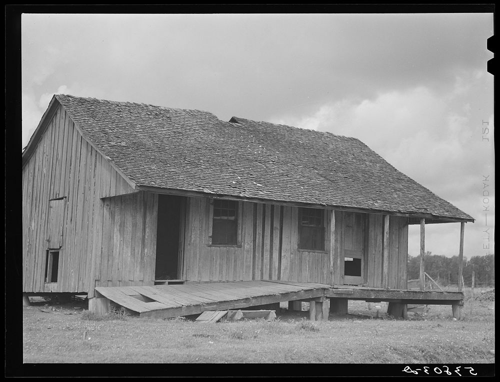 [Untitled photo, possibly related to: La Delta Plantation. Thomastown, Louisiana]. Sourced from the Library of Congress.