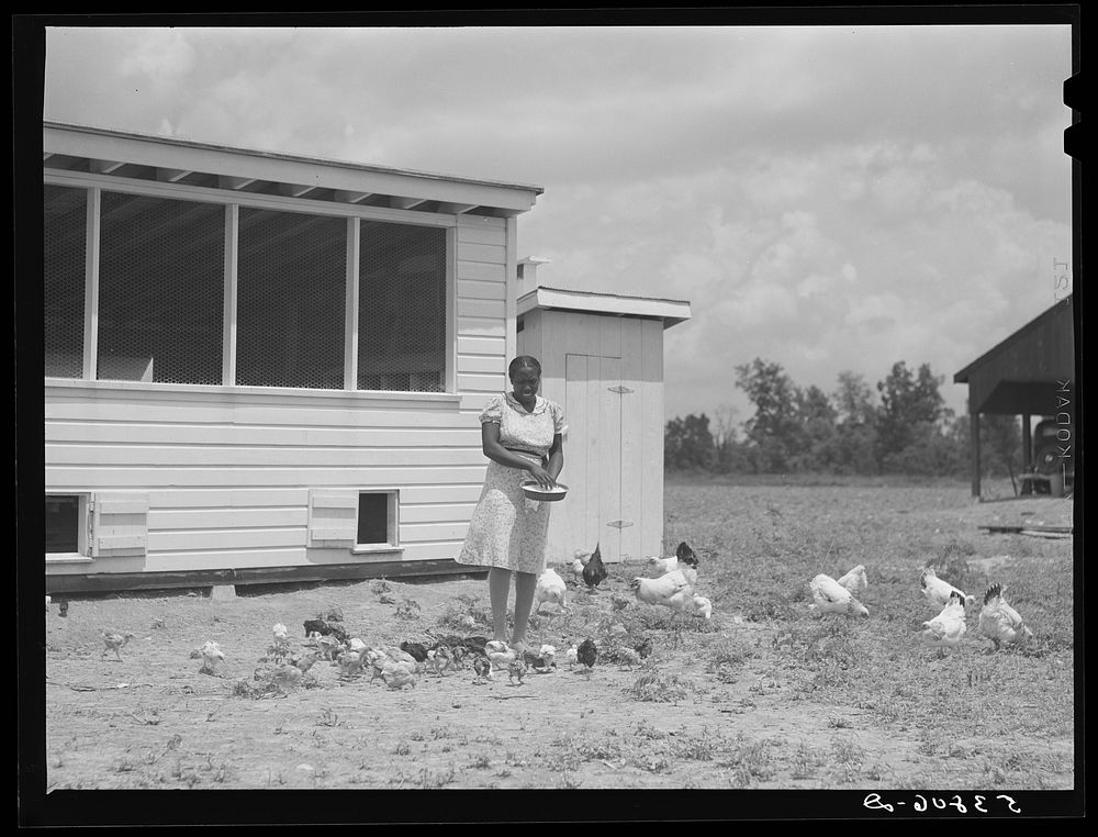 [Untitled photo, possibly related to: Violet Davenport with her chickens by new chicken house. La Delta Project, Thomastown…
