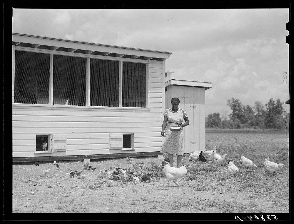 Violet Davenport with her chickens by new chicken house. La Delta Project, Thomastown, Louisiana. Sourced from the Library…