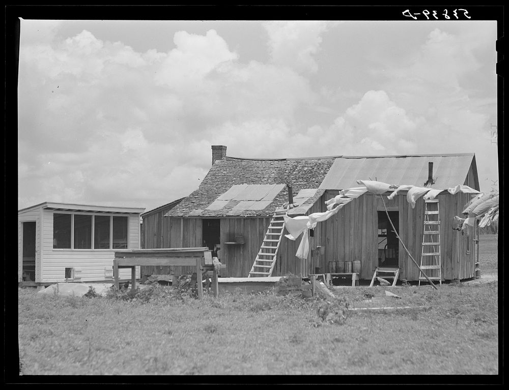 [Untitled photo, possibly related to: La Delta Plantation. Thomastown, Louisiana]. Sourced from the Library of Congress.