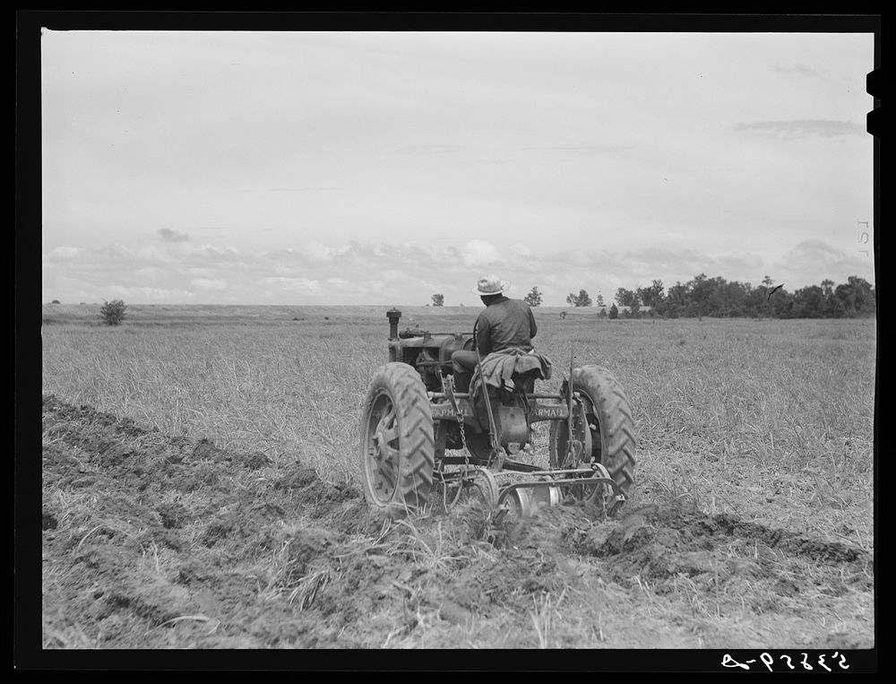 Oliver Kinsbrough discing land with tractor on La Delta Project. Thomastown, Louisiana. Sourced from the Library of Congress.