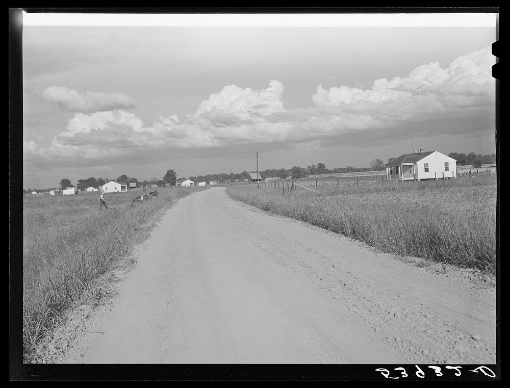 General view Transylvania Project, Louisiana, | Free Photo - rawpixel