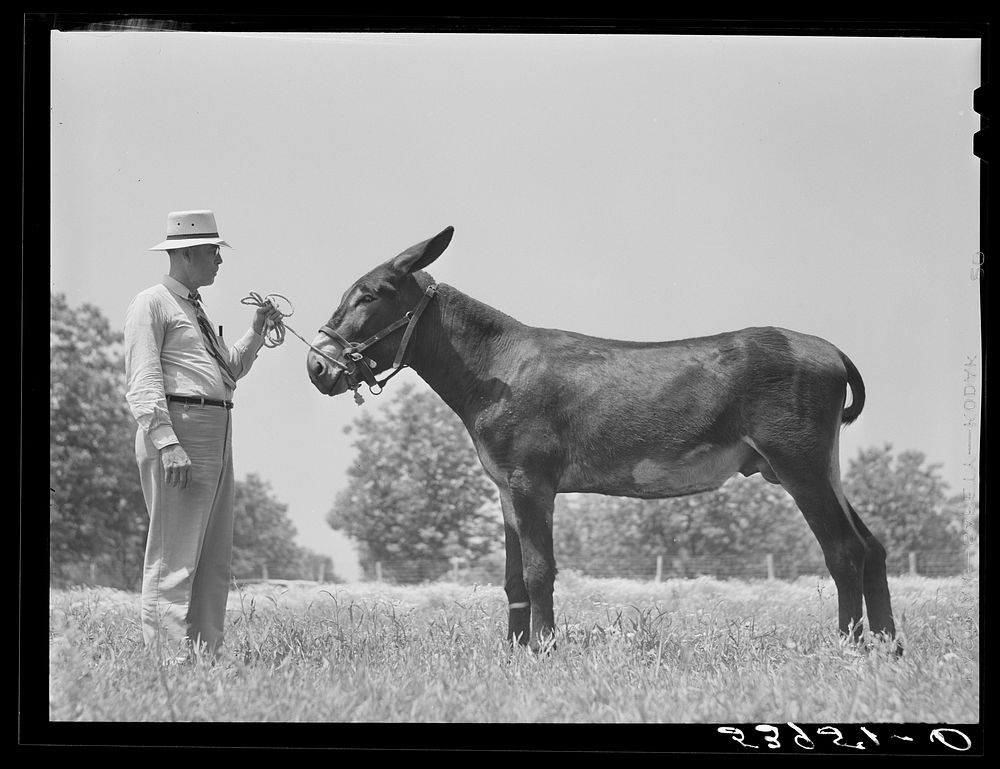 Mr. B.A. Brady, project manager, with the co-op jack belonging to the project association. Transylvania Project, Louisiana.…