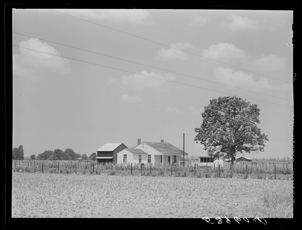 Project family's home, with garden, chicken house and barn. Transylvania Project, Louisiana. Sourced from the Library of…