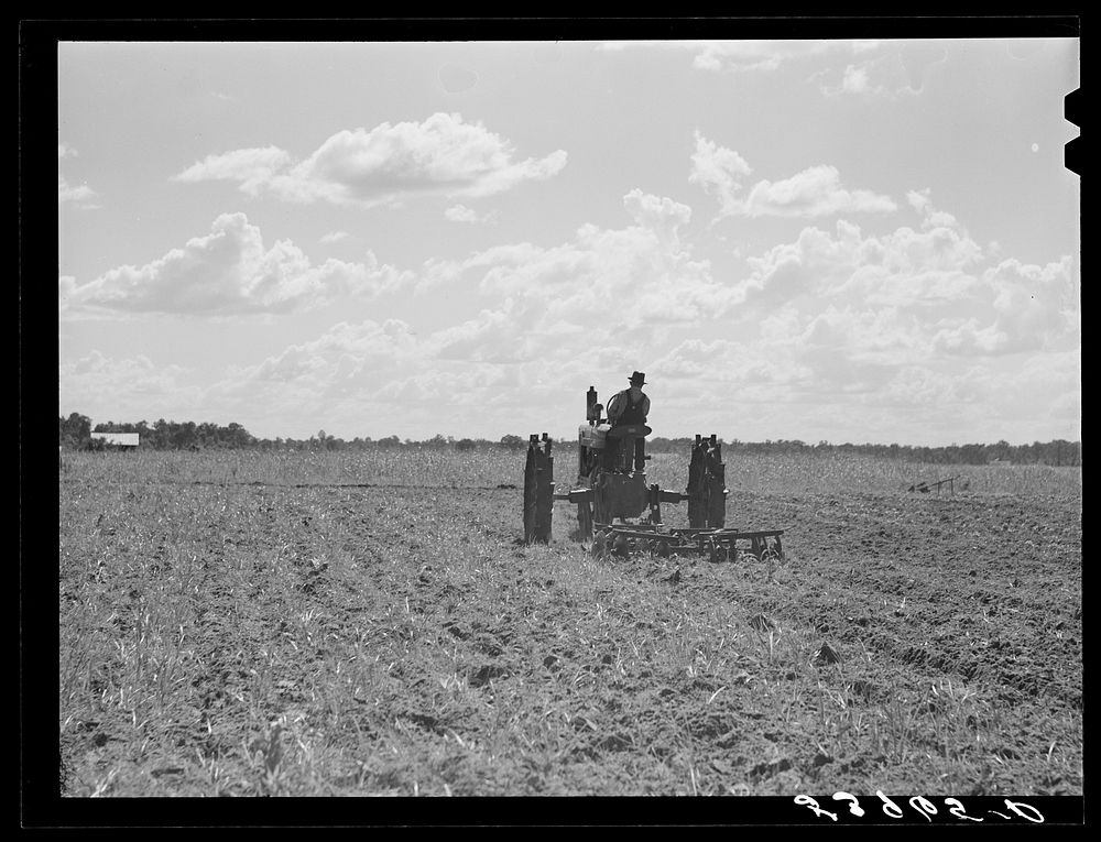 One of the project tractors plowing and discing new land. Transylvania Project, Louisiana. Sourced from the Library of…