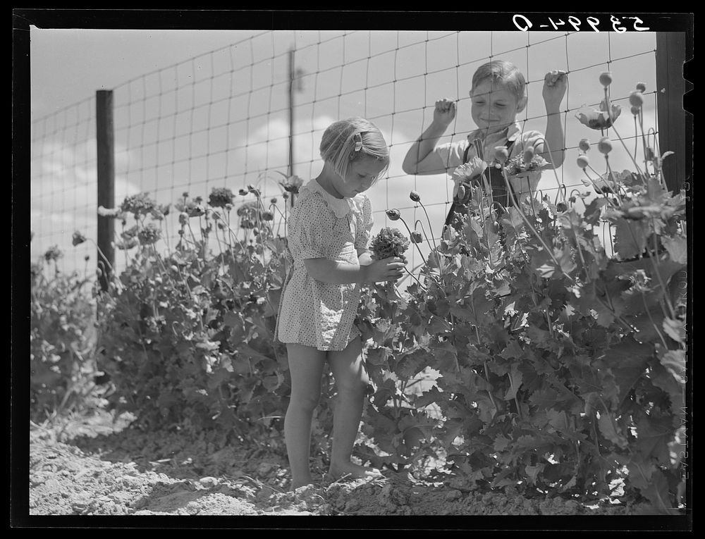 Mrs. John M. Washam's two children in the flower garden by their home. Transylvania Project, Louisiana. Sourced from the…