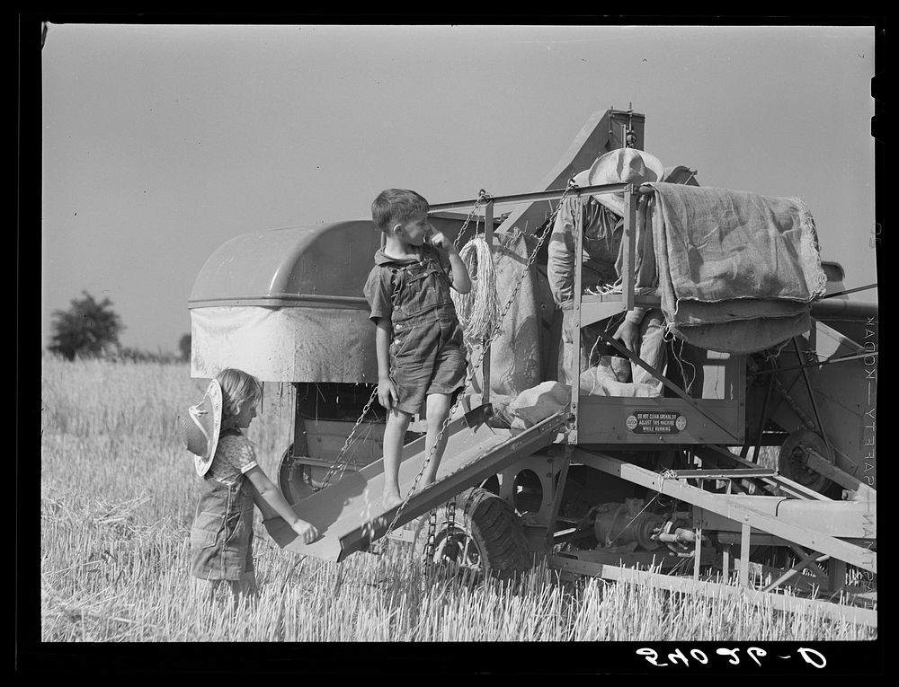 [Untitled photo, possibly related to: Golus Skipper and A.L. Ross threshing Willy D. Anglin's oats with co-op association…