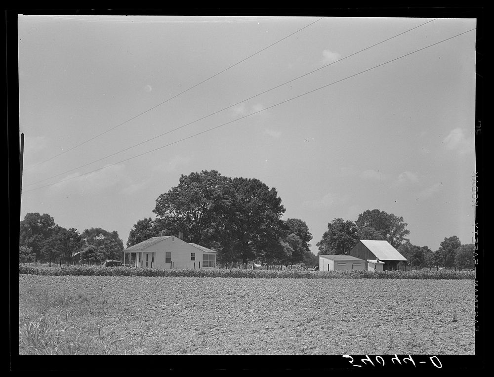 Project family's home and barns. Transylvania Project, Louisiana. Sourced from the Library of Congress.