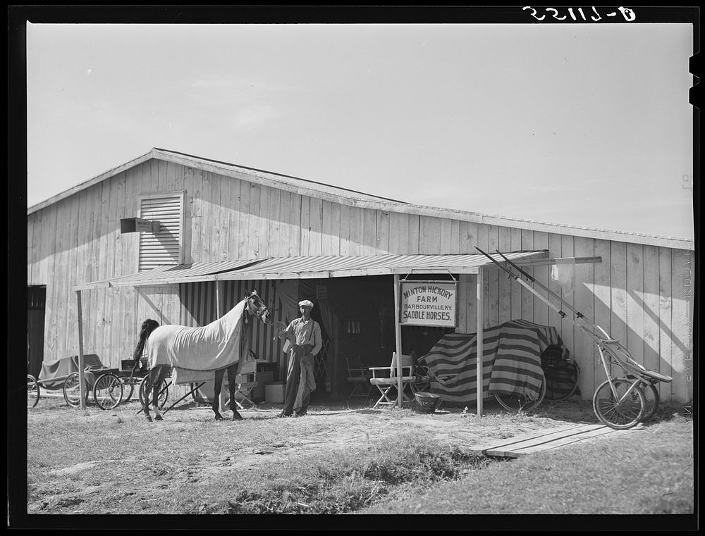 Stables at the Shelby County horse show and fair. Shelbyville, Kentucky. Sourced from the Library of Congress.