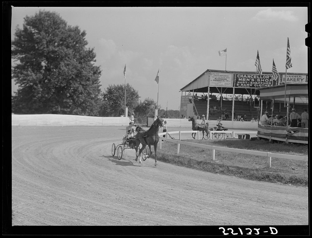 [Untitled photo, possibly related to: Sulky of harness races. Horse show, Shelby County fair, Shelbyville, Kentucky].…