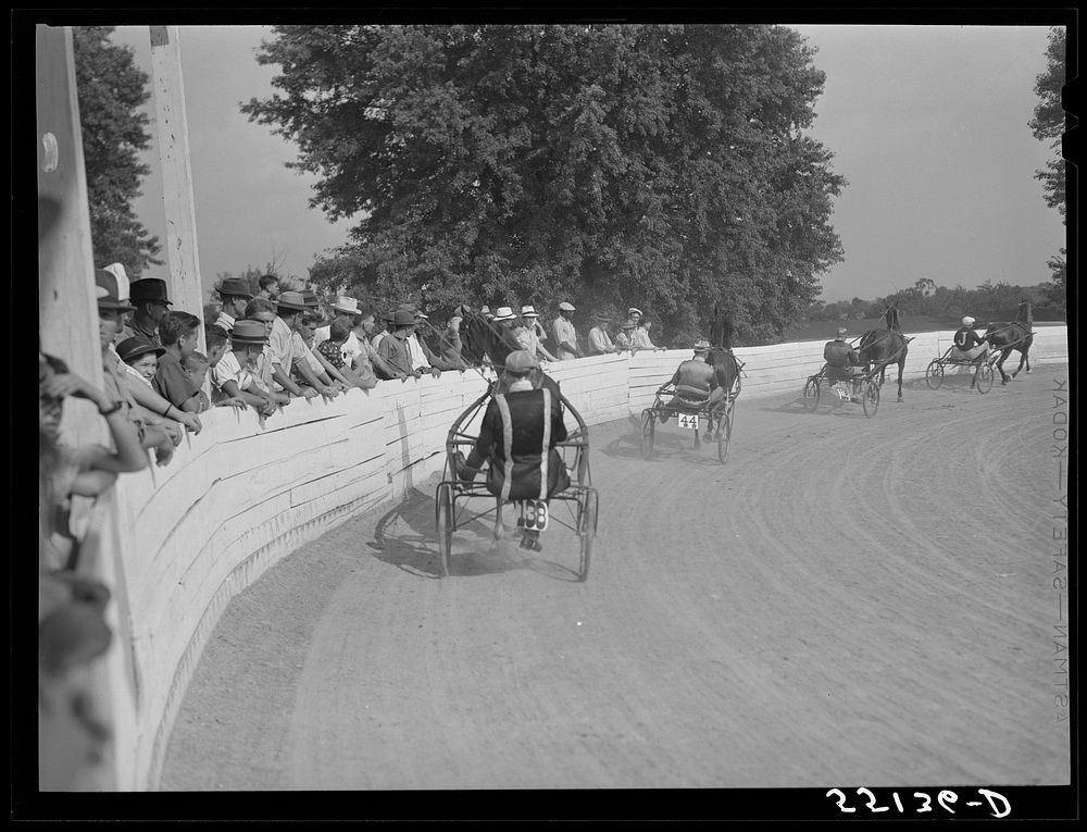 Sulky of harness races. Horse show, Shelby County fair, Shelbyville, Kentucky. Sourced from the Library of Congress.
