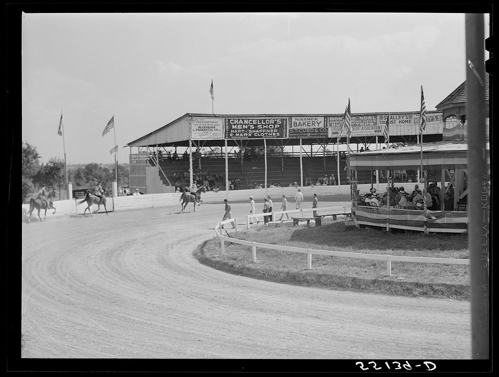 [Untitled photo, possibly related to: Sulky of harness races. Horse show, Shelby County fair, Shelbyville, Kentucky].…