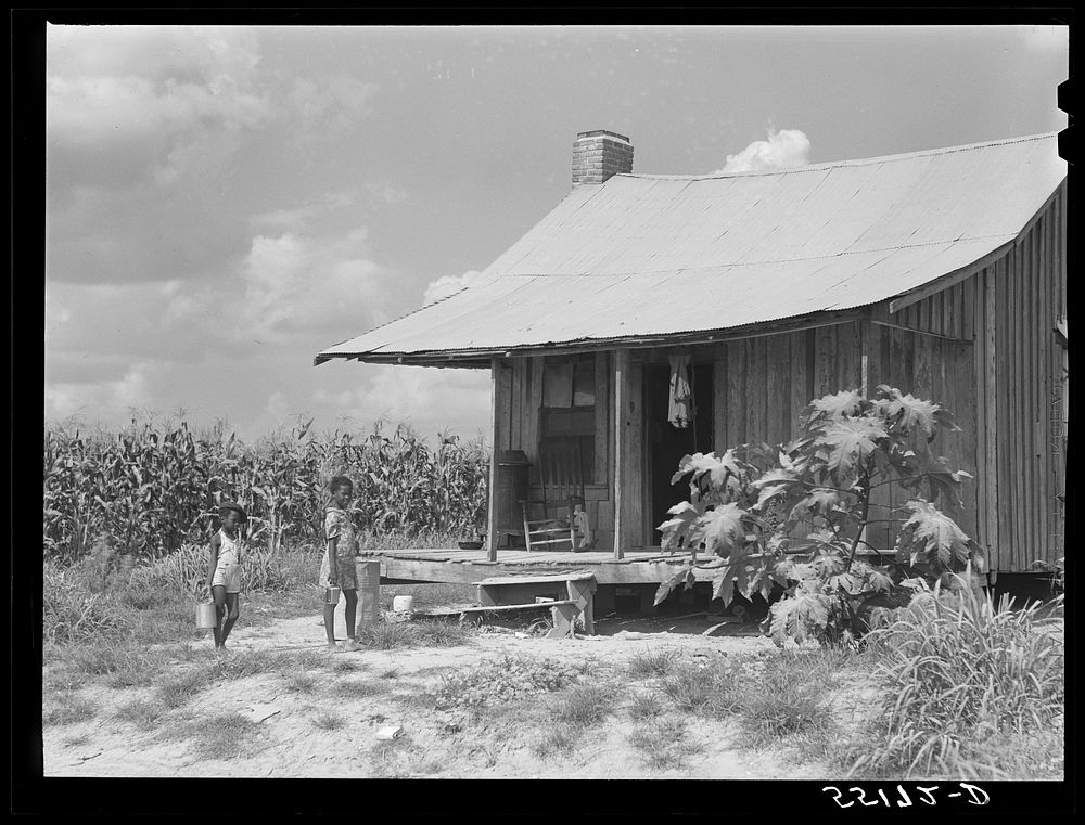 Knowlton Plantation. Perthshire, Mississippi Delta, Mississippi. Sourced from the Library of Congress.