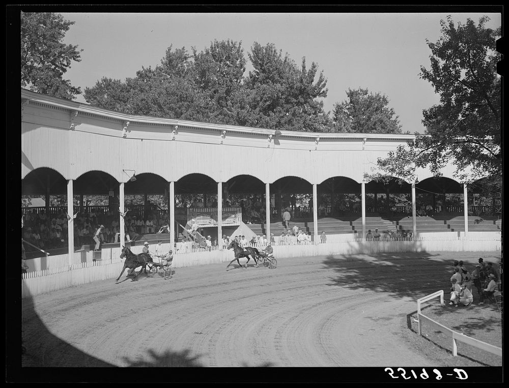 [Untitled photo, possibly related to: Sulky or harness races. Horse show, Shelby County fair, Shelbyville, Kentucky].…