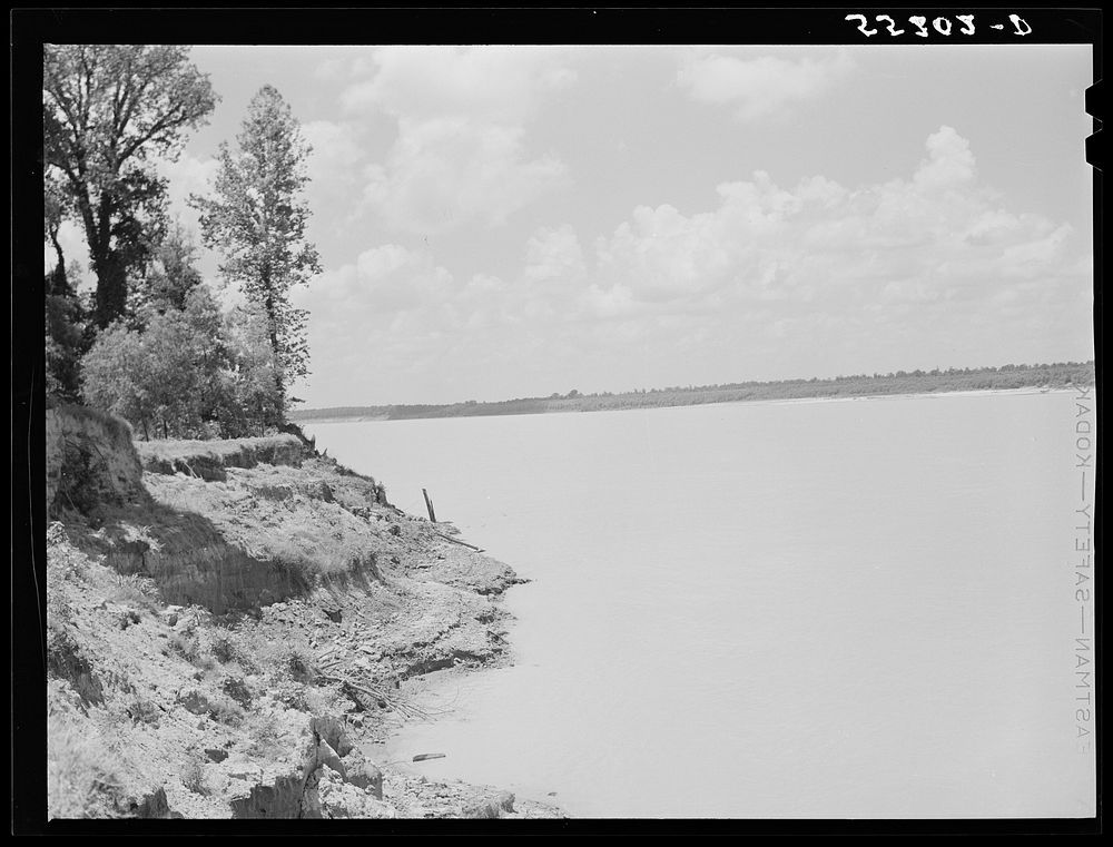 Mississippi River near Perthshire. Mississippi Delta, Mississippi. Sourced from the Library of Congress.