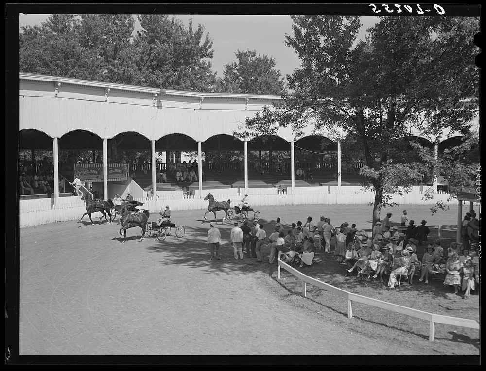 Horse show at Shelby County fair. Shelbyville, Kentucky. Sourced from the Library of Congress.