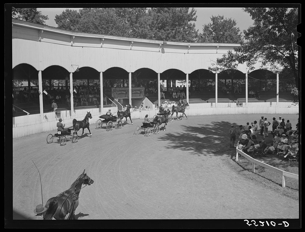 Horse show at Shelby County fair. Shelbyville, Kentucky. Sourced from the Library of Congress.