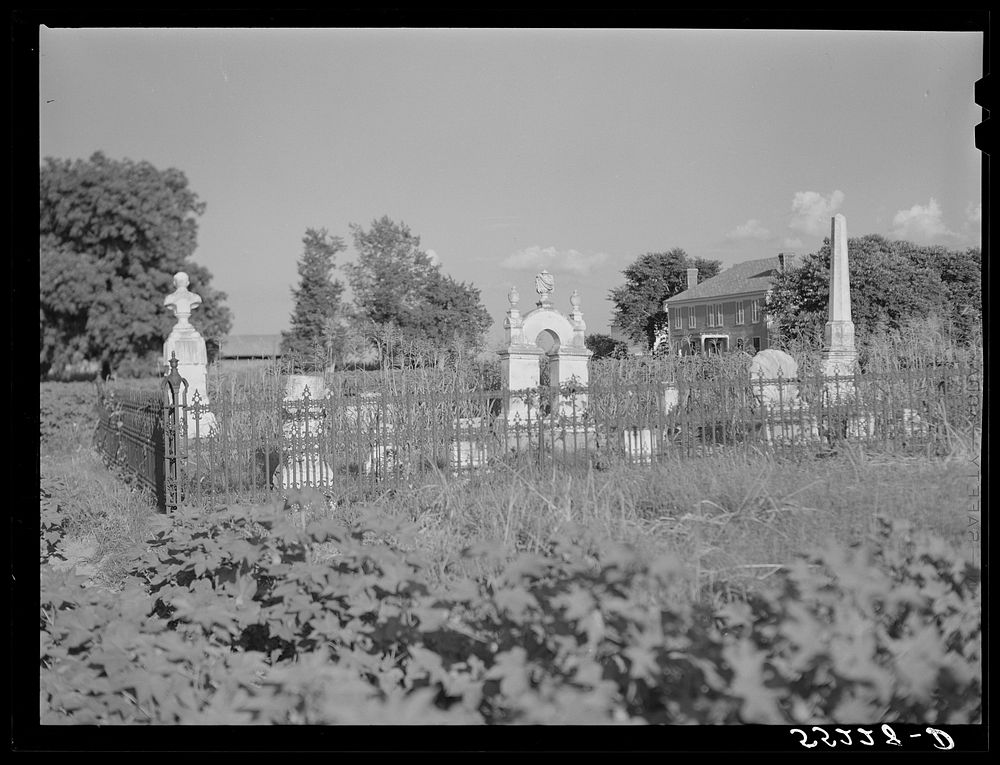 Old home and family graveyard on King and Anderson Plantation in center of cotton field near Clarksdale. Mississippi Delta…