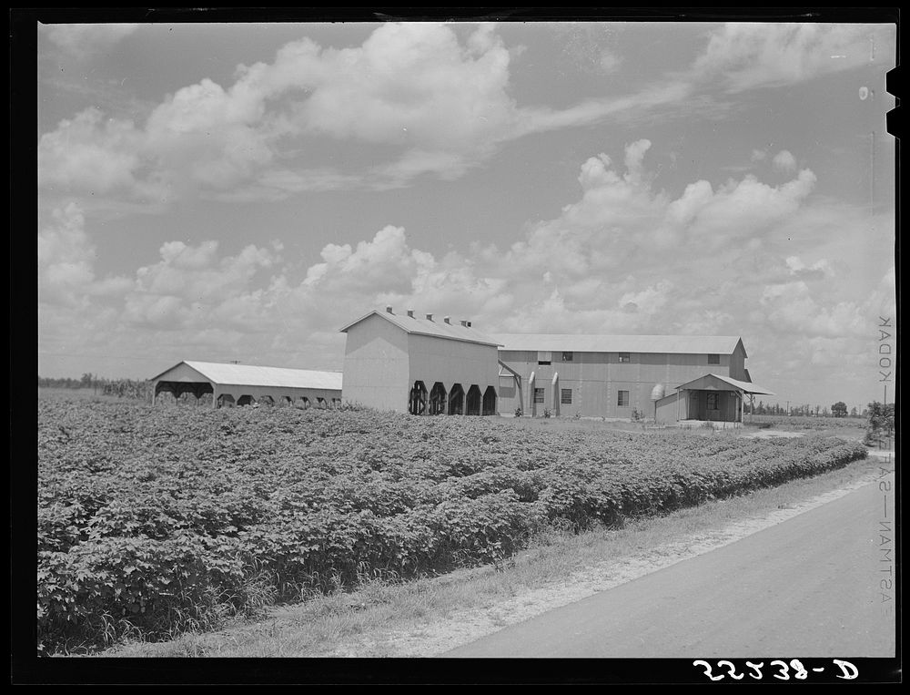 Modern cotton gin and dryer on King and Anderson Plantation near Clarksdale. Mississippi Delta, Mississippi. Sourced from…