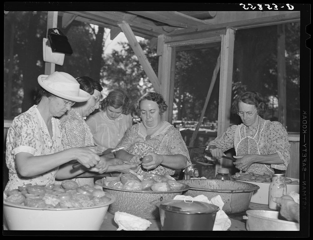 Parishioners peeling and slicing tomatoes for a benefit picnic supper on the grounds of Saint Thomas' Church. Near…