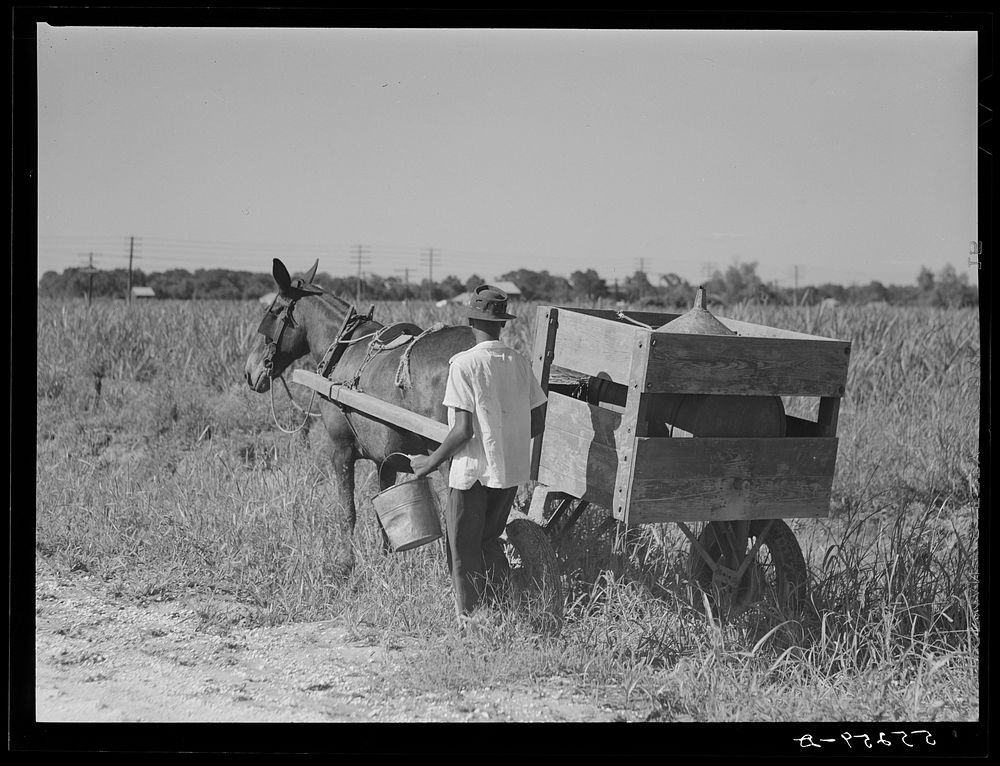 Terrebonne Project. Schriever, Louisiana. Sourced from the Library of Congress.