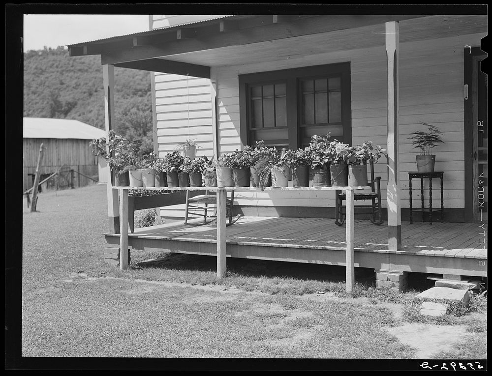 Prosperous farmer's porch of his home with plants in painted lard buckets near Morehead, Kentucky. Sourced from the Library…
