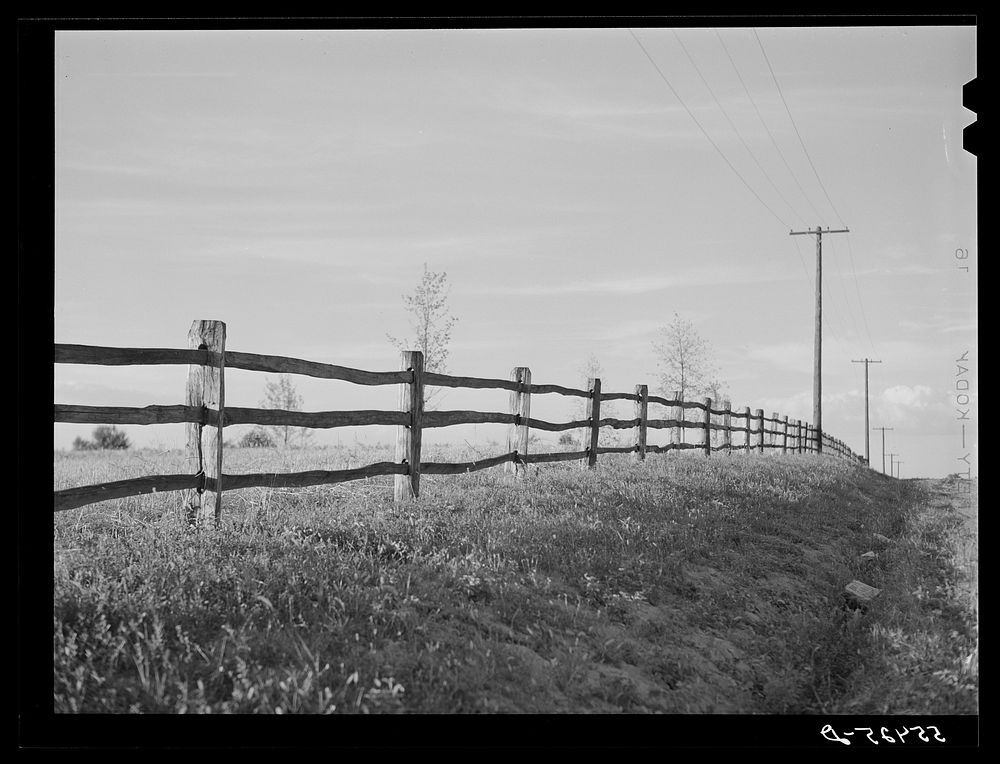 Handmade rail fence on highway near Louisville, Kentucky. Sourced from the Library of Congress.