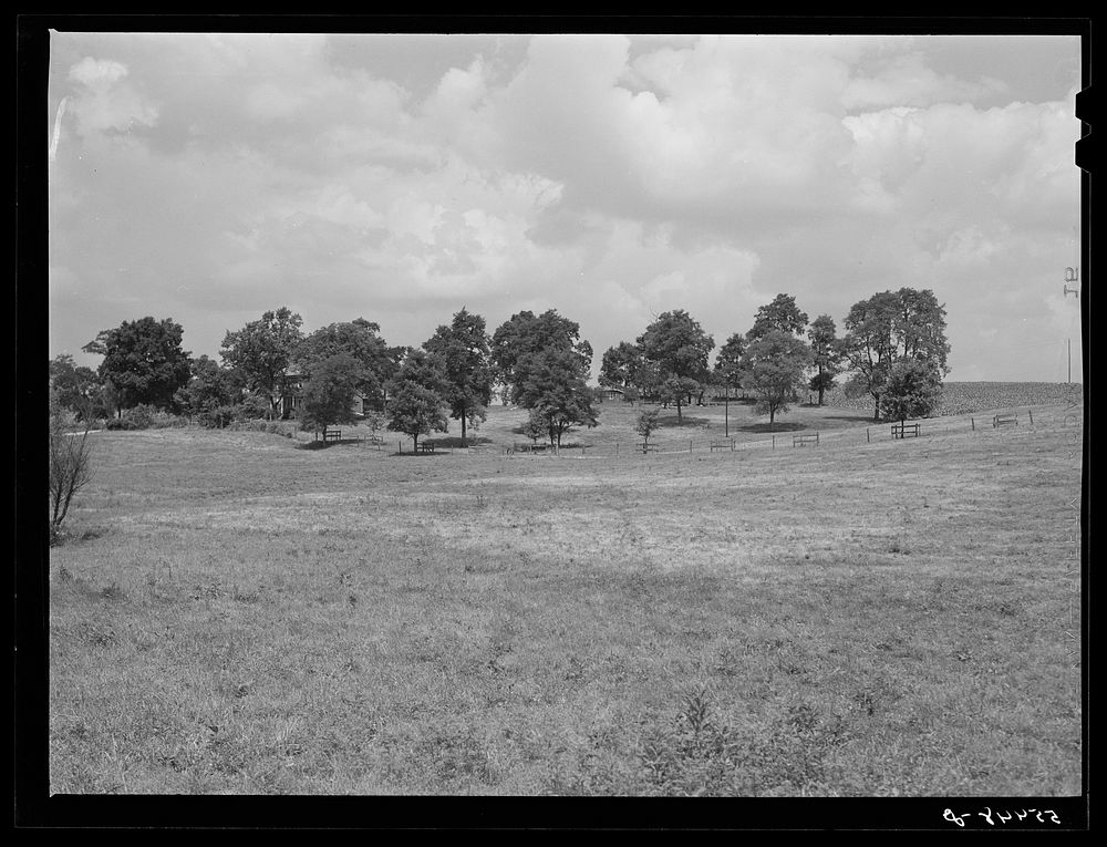 General view of Russell Spear's farm near Lexington, Kentucky. Sourced from the Library of Congress.