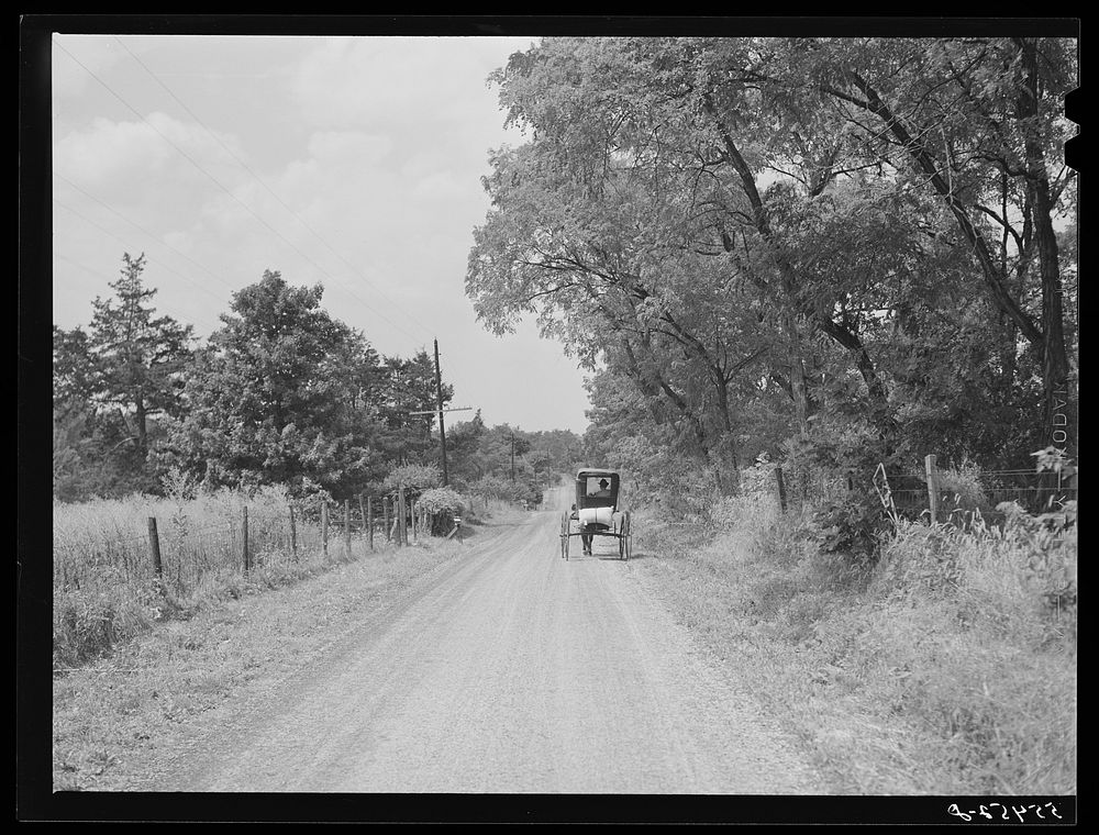 Farmer taking home sack of feed on the back of his buggy. Saturday afternoon near Lexington, Kentucky. Sourced from the…