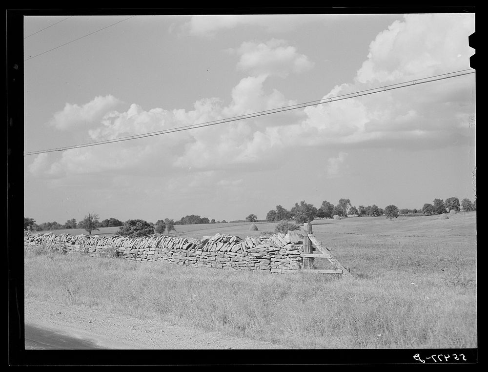 Old stone fence near Harrodsburg, Kentucky. Sourced from the Library of Congress.