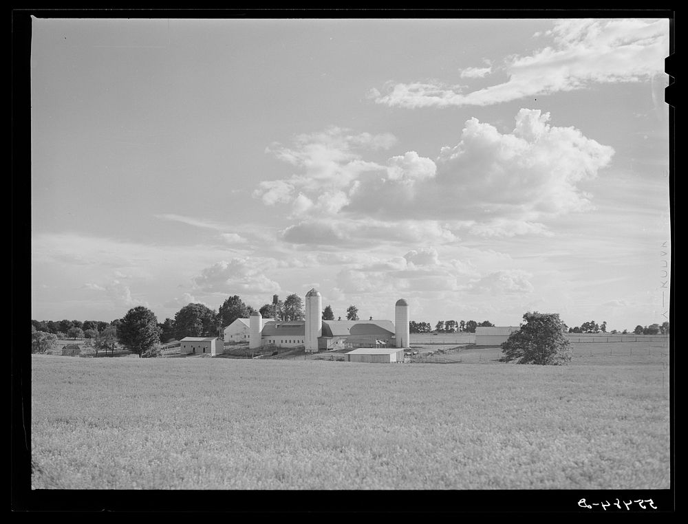 Dairy farm Jefferson County, Kentucky. Free Photo rawpixel